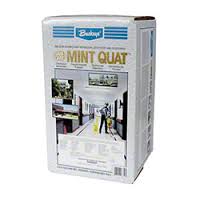 MINT QUAT DEODORANT 5GAL BAG  1-STEP GERMICIDAL DETERGENT&amp;