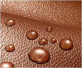 Leather Care